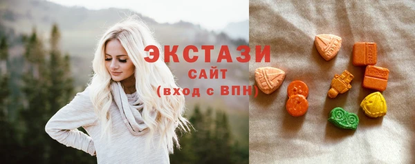 индика Лабытнанги