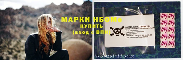 индика Лабытнанги