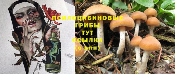 apvp Кулебаки