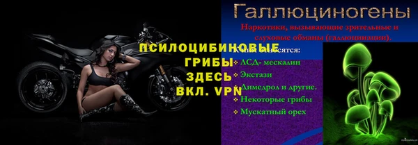 индика Лабытнанги