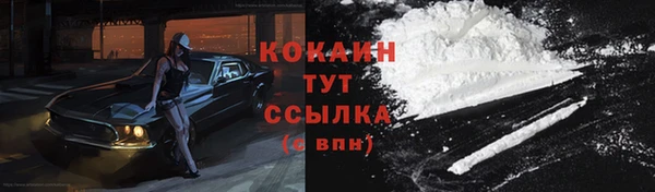 соль ск Лагань