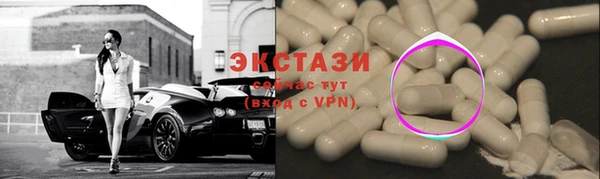 индика Лабытнанги