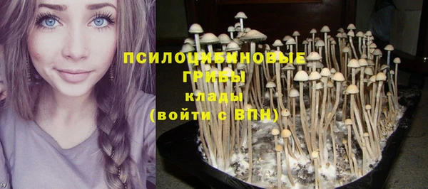 соль ск Лагань