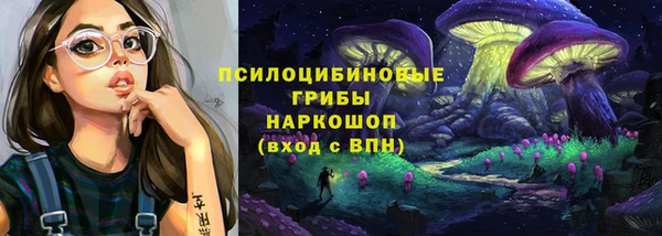 индика Лабытнанги